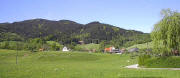 Blick vom Lwen (Trauerweide rechts) ins Geroldstal am 1. Mai 2003