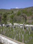 Jdischer Friedhof 500 m sdlich von Ihringen