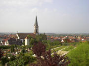 Blick nach Sdwesten auf Ihringen am 9.8.2004