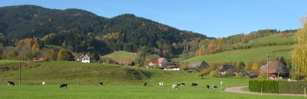 Blick nach Sdwesten ins Geroldstal am 31.10.2007 - Fuehof rechts