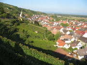 Blick vom Bselberg nach Osten auf Wasenweiler am 13.9.2007