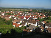 Blick vom Bselberg nach Sden berf Wasenweiler bis zum Tuniberg und Gottenheim am 13.9.2007