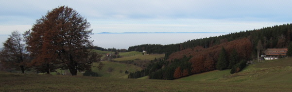 Blick vom Schauinsland nach Westen ber den Rheintalnebel zu den Vogesen am 31.10.2009 - rechts Luginsland