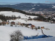 Blick vom Immi-Hochsitz am 4.1.2010 nach Nordwesten ber Dietenbach - vorne der Jungbauernhof