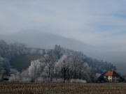 Blick nach Sdwesten zum Kchlehof am 20.1.2010 - Raureif nach Nebel 15 Uhr