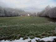 Blick nach Norden zum Tritschlershof am 20.1.2010 um 15 Uhr - Raureif und Nebel