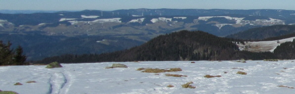 Tele-Blick von Tote Mann nach Norden zu den Windrdern von St.Peter-Platte und St.Mrgen (rechts) a, 6.2.2011